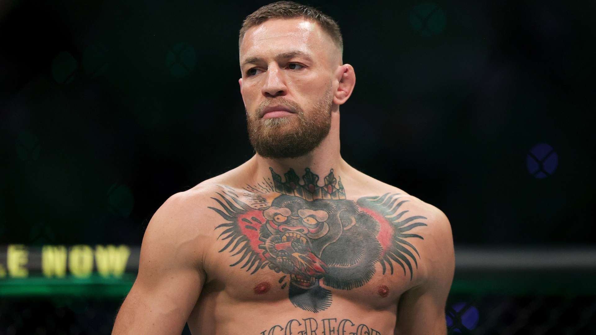 焦点战积累 焦点战积累